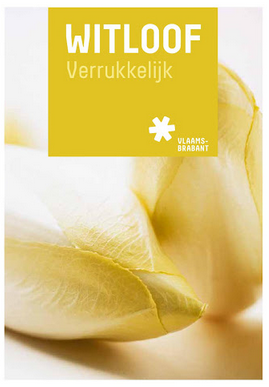 Witloof Verrukkelijk